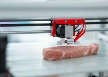 İnsanoğlunun Azgınlığı: İsrailli Firma Et Yaratacakmış(!)