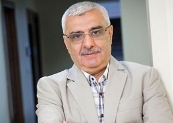 Ali Bulaç Gezi Parkı için konuştu