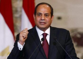 Sisi, Ilımlı İslâm Modeline Uymak İstiyor