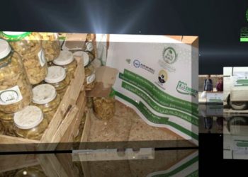 Suriye yardımları ihtiyaç sahiplerine ulaştırıldı