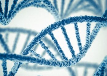 Bebeklerin genetiği ile oynanmasına tepki: Çılgınlık ve Ahlaksızlık