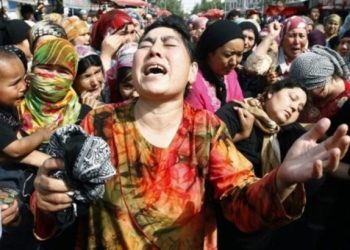 İslam Dünyasının Duymadığı, Görmediği Gerçekler