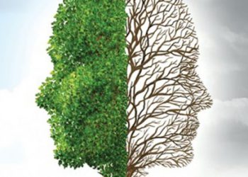 İlâhî Tebliğin Can Evi ‘Kalb’i Anlamak