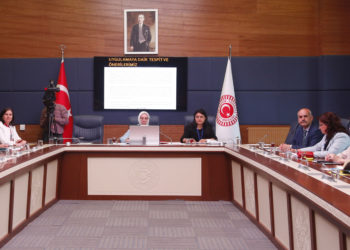 İstanbul Sözleşmesi, Meclis Alt Komisyonunda