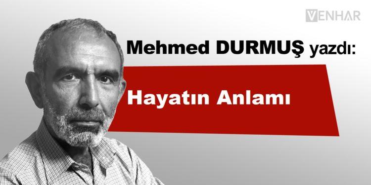 Hayatın Anlamı