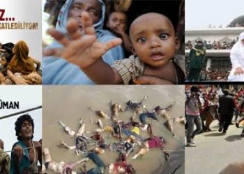 Kanın Politik Değeri