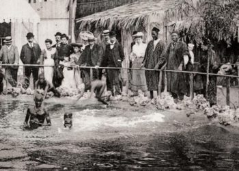İngilizce Yazmak Zorundaydık: Human Zoo