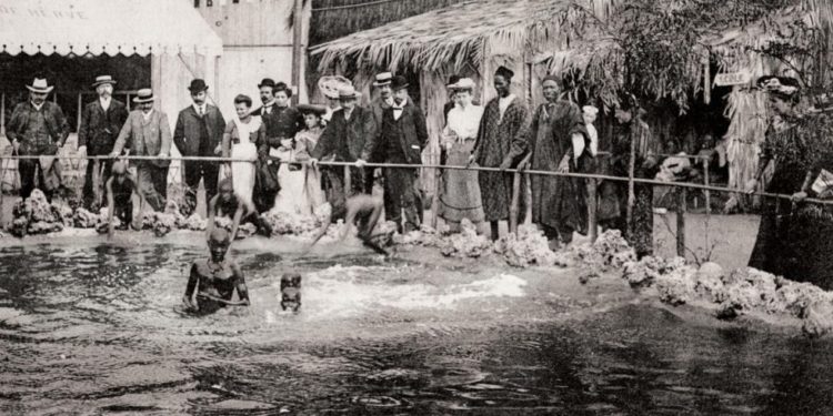 İngilizce Yazmak Zorundaydık: Human Zoo
