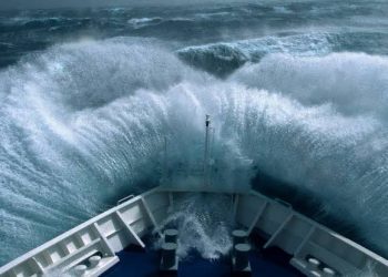 Gemideki Samimiyet ve Gemiden İndikten Sonra…