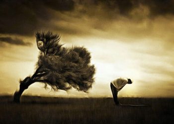 ‘Omurgasızlık Onursuzluktur’