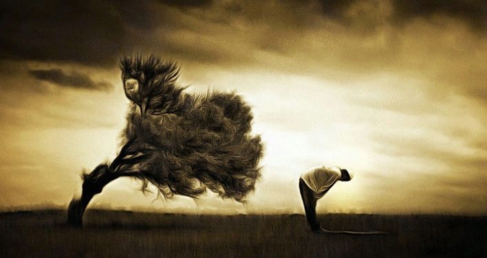 ‘Omurgasızlık Onursuzluktur’