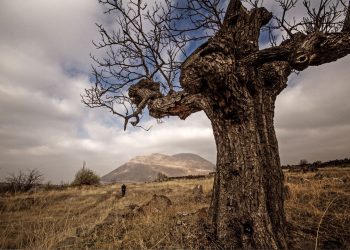 Buharlaşan Anılar ve Mekanlar