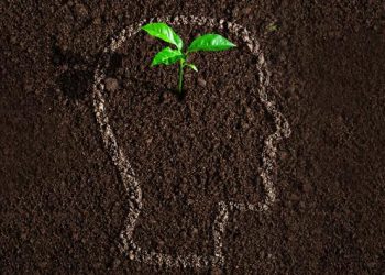 Kışkırtılmış İnsan’dan Yaratılmış İnsan’a