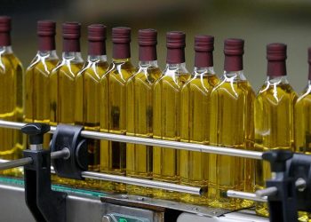 Sabah Yazarı: Almanya, Topraklarında Neredeyse Hiç Yetişmeyen Zeytinin Yağını Bizden Ucuza Tüketiyor
