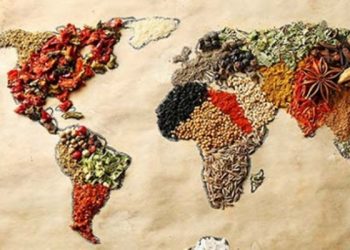 Afrika Gıda Sanayi Yüzde 400 Büyüyecek