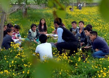 Tabiattan Tahtaya Kalkan Çocuklar