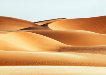 Susmanın Kalesine Sığınmak