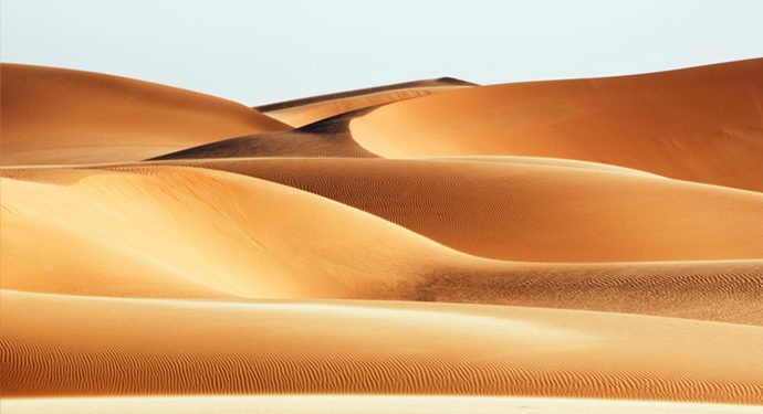 Susmanın Kalesine Sığınmak