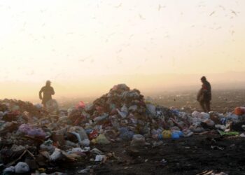 Hayatın Aynası: Sokak