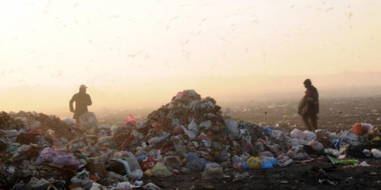 Hayatın Aynası: Sokak