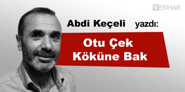 Otu Çek Köküne Bak