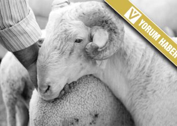 Kurban Et Ki Yolda Kalabilesin…