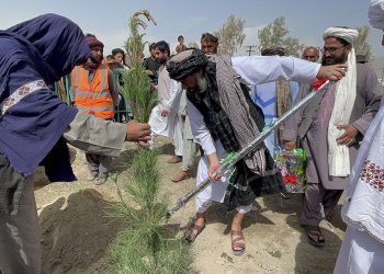 “Taliban’ı Hiçbir Eğitimi, Görgüsü, Devlet Yönetim Becerisi Olmayan Militan Zannediyorlar”